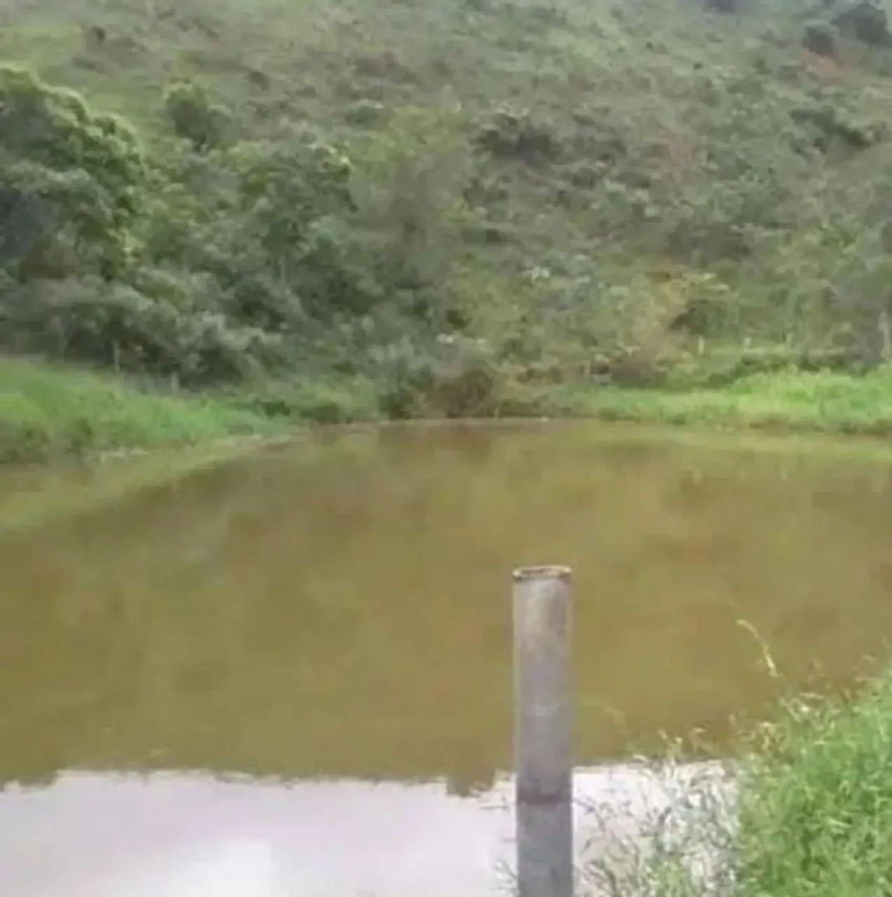 Sítio em Taubaté 