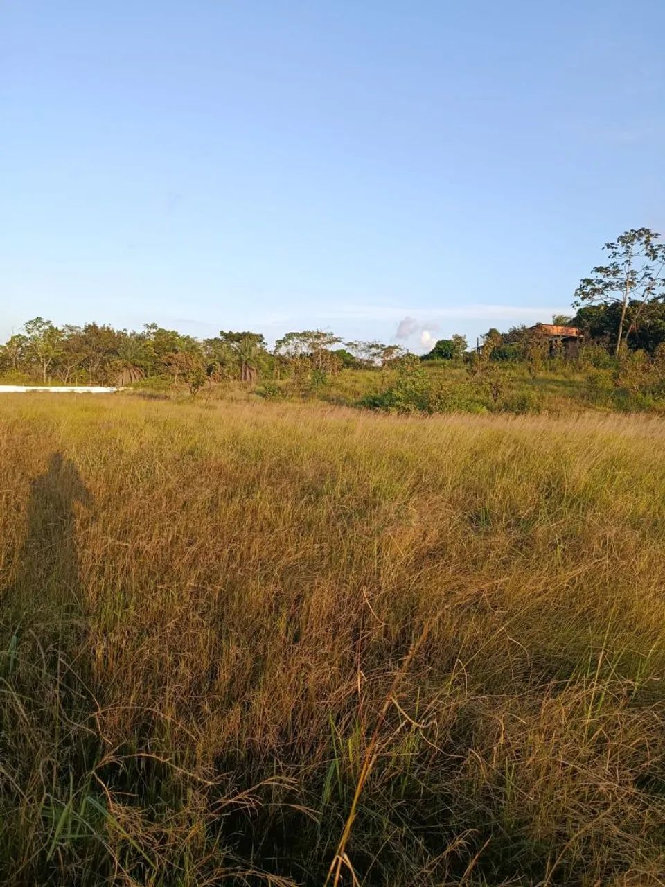 90/100 - Foto 2
