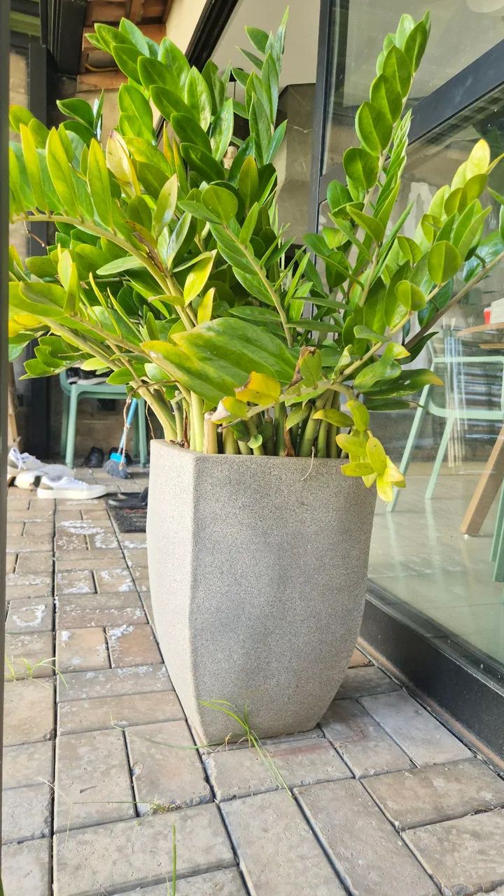 Vaso - Foto 3