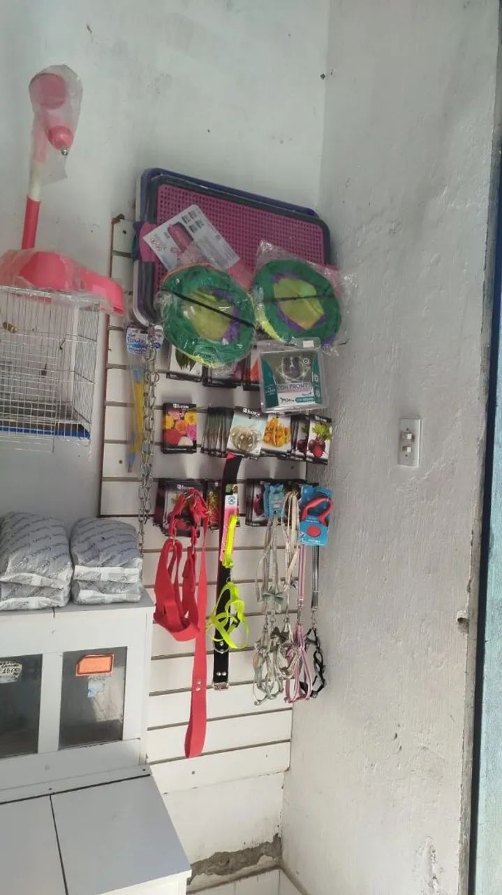 Tudo  - Foto 4