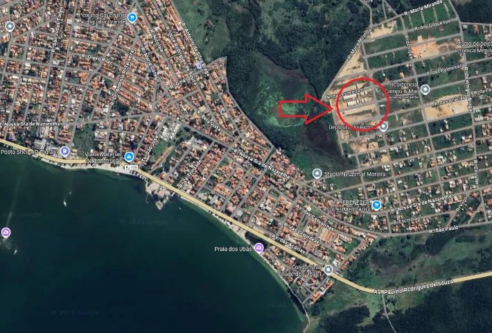 Foto - Iguaba Grande - Capivara