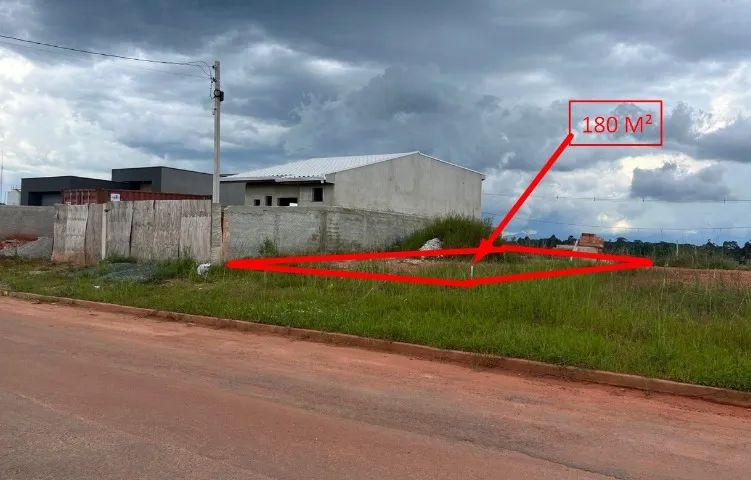 Foto - Campina Grande do Sul - Timbu
