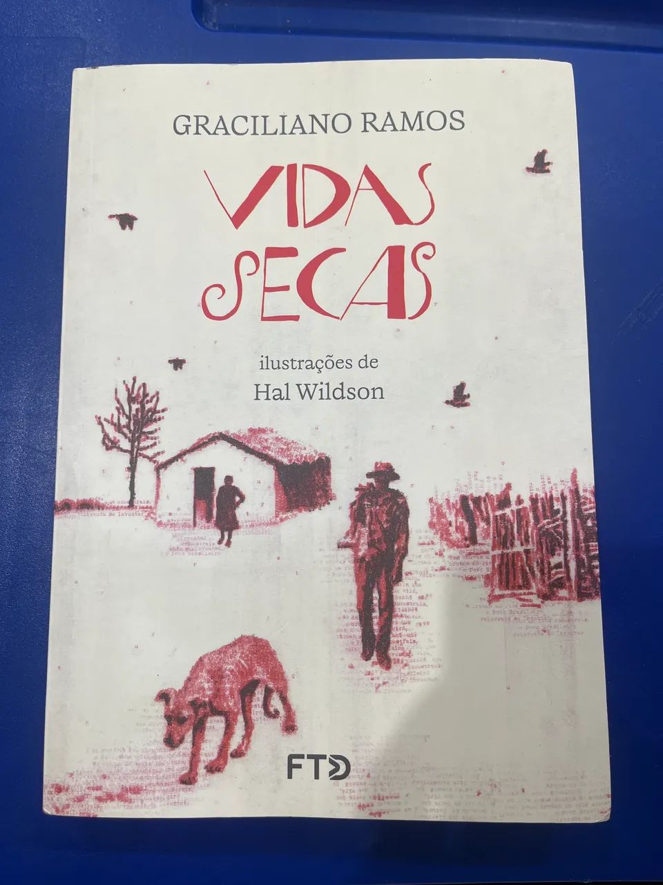 Vidas Secas (Livro FTD)