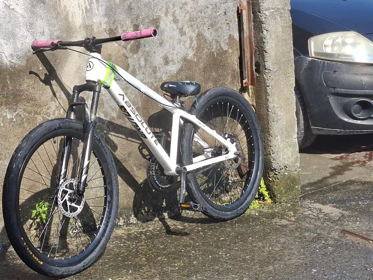 Absolute brutus pro 2025