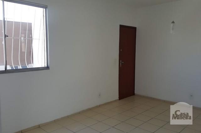 Apartamento à venda com 3 dormitórios em Monsenhor messias, Belo horizonte cod:245421 - Foto 3