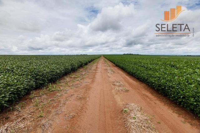 Fazenda à venda, * m² por R$ 125.000.000 - Vila Bom Jardim - Nobres/MT - Foto 5