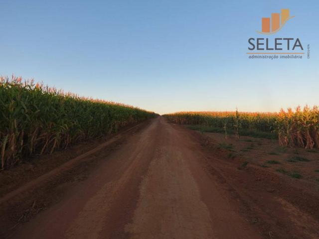 Fazenda à venda, * m² por R$ 125.000.000 - Vila Bom Jardim - Nobres/MT - Foto 8