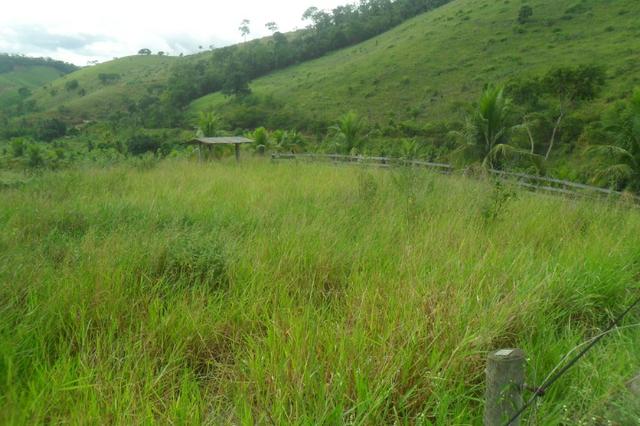 Fazenda 35 alqueires em colatina