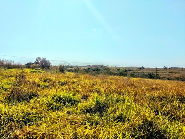 Fazenda 150 ha - Foto 7