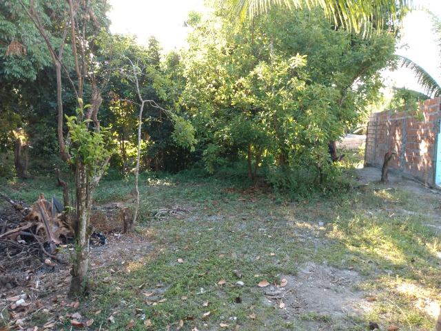 Terreno - Foto 4