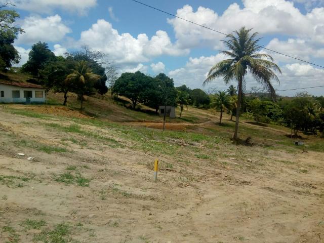 Terreno loteado em abreu e lima sem SPC nem comprovação de renda - Foto 3