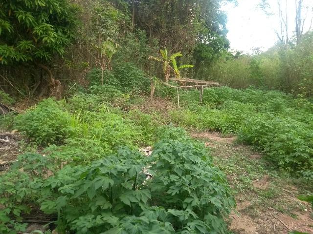 Lote em Chácara no Lago norte - Foto 7