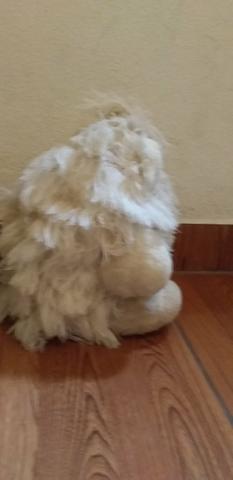 Cachorro de pelúcia - Foto 3