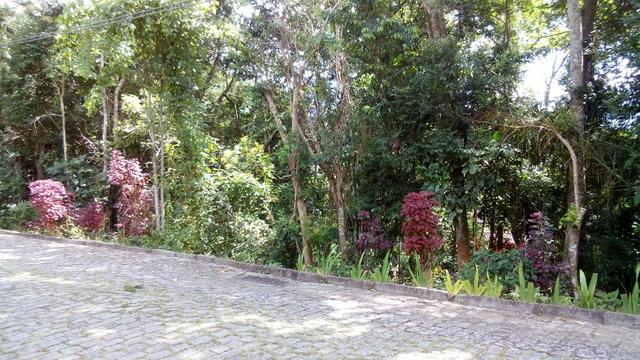 Terreno em bairro nobre de Teresópolis - Foto 4