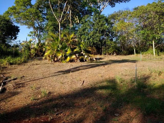 Chácara Goiânia Margem BR-153 (Pista Dupla) - Foto 5