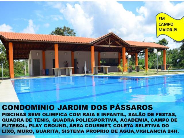 Lote em Campo Maior - Condominio Jardim dos Pássaros -medindo 600m² - Foto 2