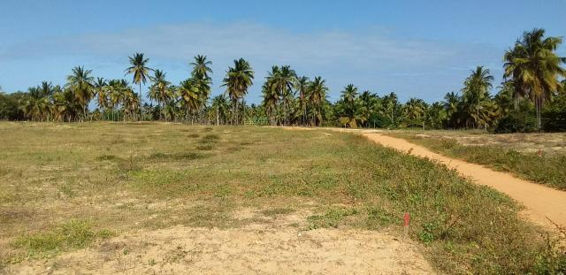 Terreno em praia feliz Deserto - Foto 8