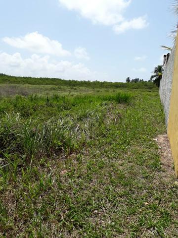 Terreno em São José da Coroa Grande - Foto 6