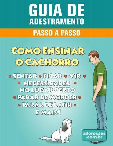 Adestramento