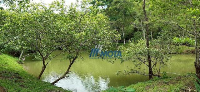 Fazenda a venda antonina com 105,2 alqueires, casa sede em 3 pavimentos, com grande capaci - Foto 12