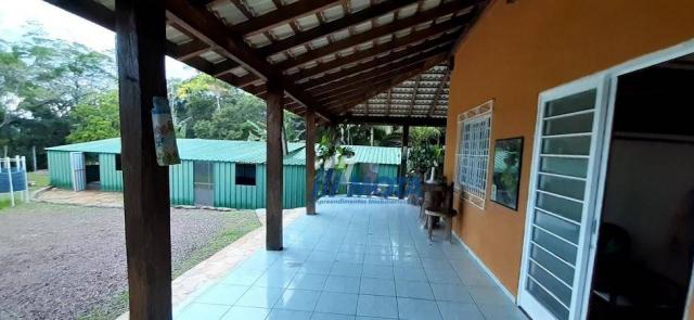 Fazenda a venda antonina com 105,2 alqueires, casa sede em 3 pavimentos, com grande capaci - Foto 16