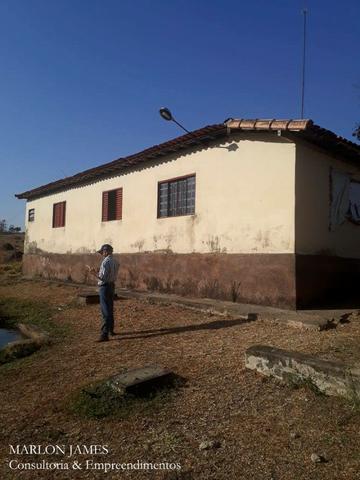 Fazenda Cultura entre Goiás e Mossamedes! - Foto 2