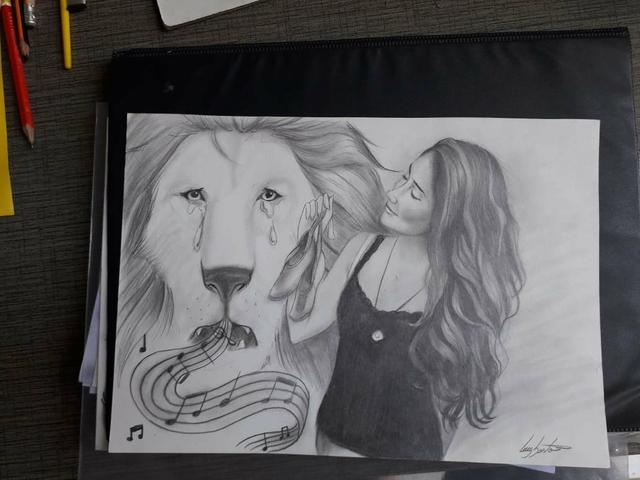 Desenho à lápis - Foto 4