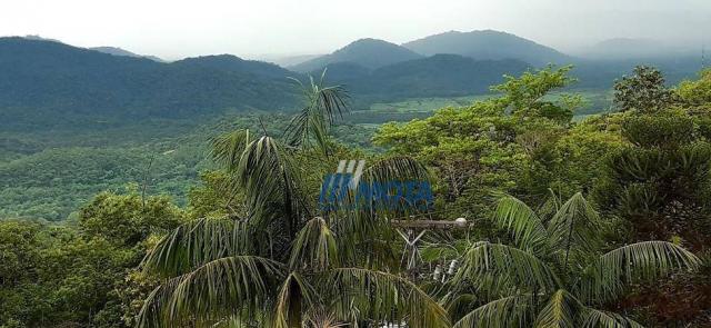 Fazenda a venda antonina com 105,2 alqueires, casa sede em 3 pavimentos, com grande capaci - Foto 15