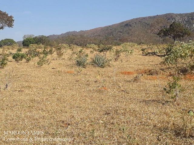 Fazenda Cultura entre Goiás e Mossamedes! - Foto 20
