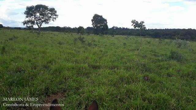 Fazenda próximo a Aragarças e 30 km de Ponte Alta para gado e lazer! - Foto 13