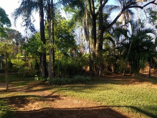 Chácara Goiânia Margem BR-153 (Pista Dupla) - Foto 17