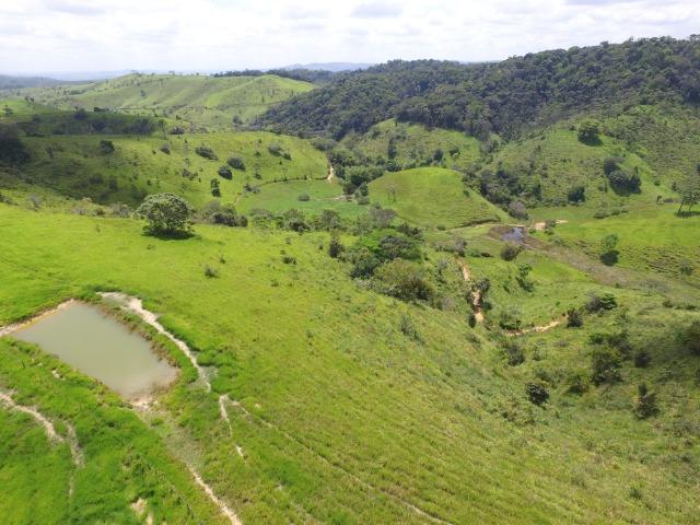 Fazenda 400 Hectares - 5 Nascentes no Município de Colonia - Foto 7