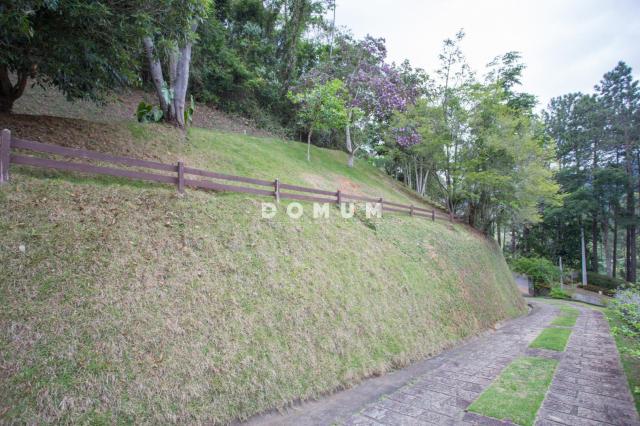 Terreno à venda, 5200 m² por r$ 380.000,00 - golfe - teresópolis/rj - Foto 2