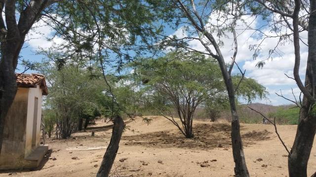 Excelente propriedade de 828 hectares, em Santa Cruz do Capibaribe - Foto 8