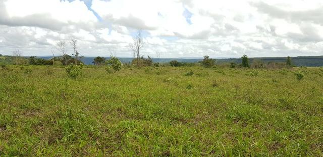 Fazenda 590,48 hectares no Leste de Minas na Região da sudene - Foto 6