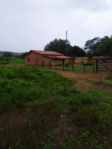 FAZENDA MUNICIPIO PINDORAMA 53 ALQUEIRES OBS. VALOR DO ALQUEIRES. - Foto 13