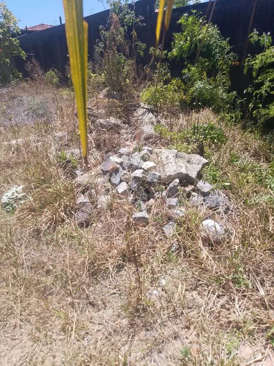 Vendo mais de 1 carrada de pedra pra alicerce - Foto 2
