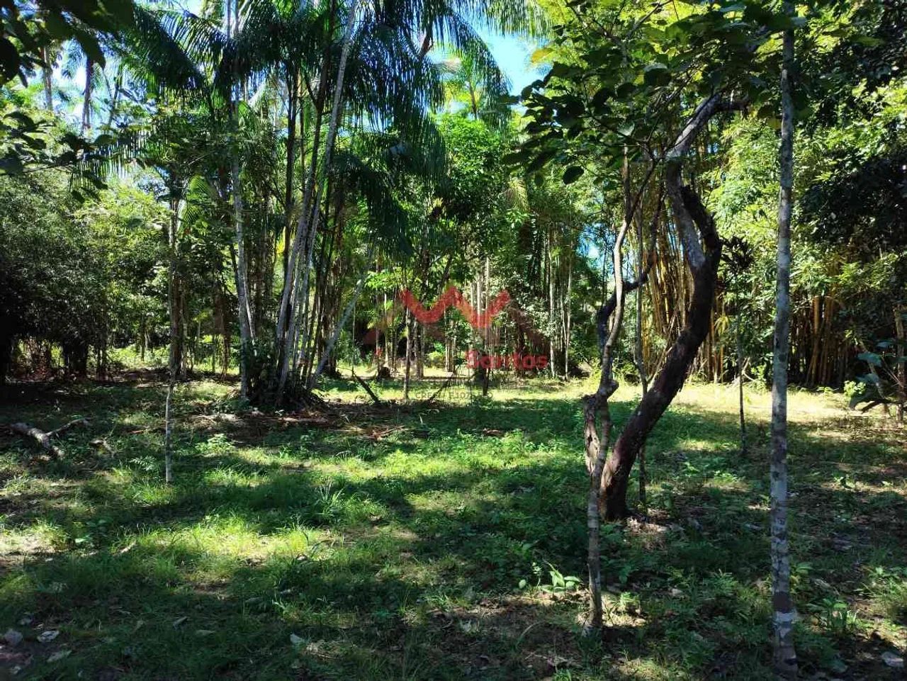 Chácara para Venda com 31.500 m², Linha Progresso, Marcos Freire - Porto Velho - RO - Foto 11