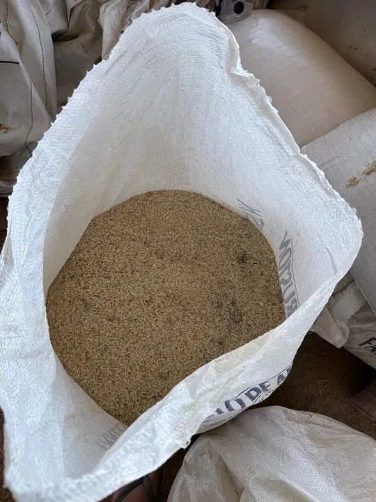 Arroz inteiro 50kg - Foto 2