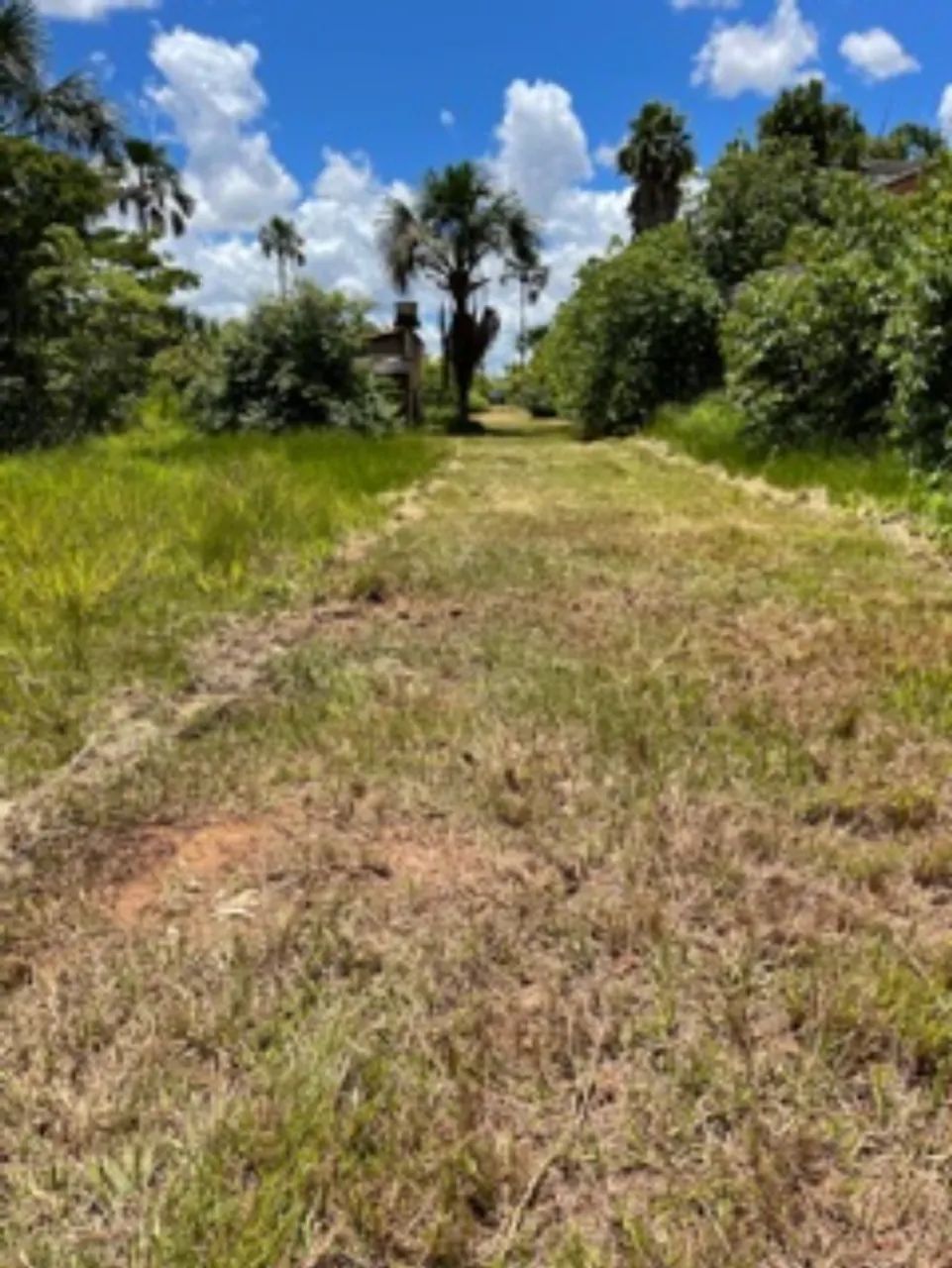 TERRENO RESIDENCIAL em BRASÍLIA - DF, PARK WAY - Foto 4
