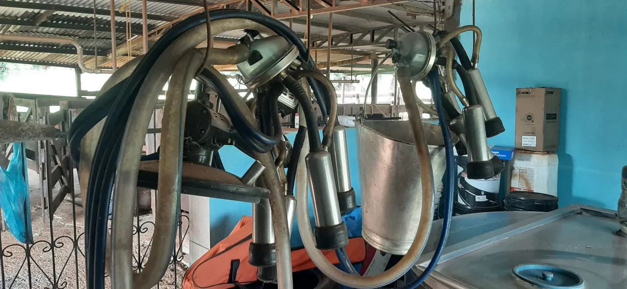 Ordenha 64304158971777124