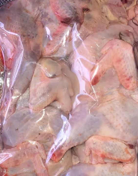 Codornas abatidas ,embalagem a vácuo com 10 unidades.  - Foto 2