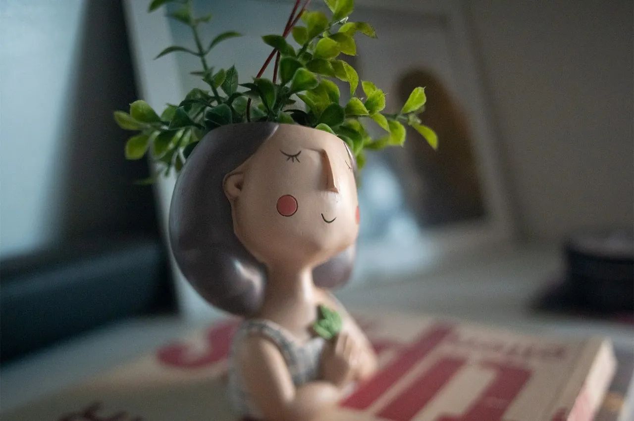 Lente Canon FD 35mm f/2.8 Tilt-shift - Foto 6