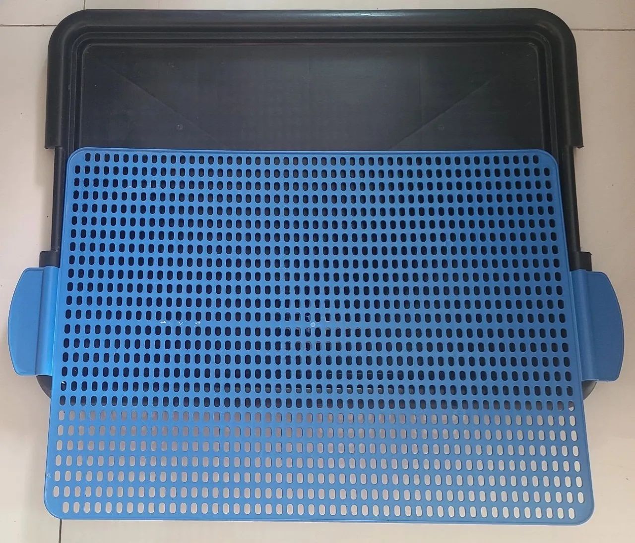 Bandeja para Pet - Azul - Foto 2