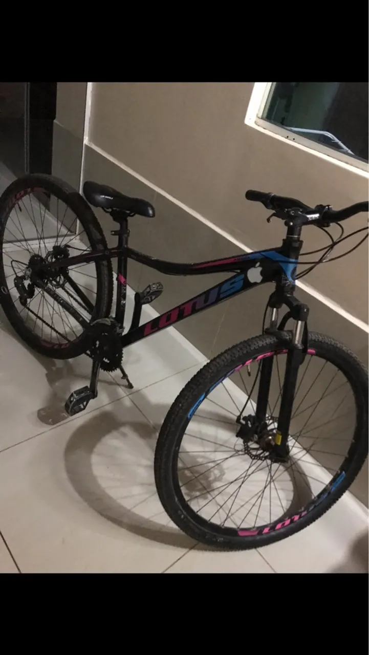 BIKE ARO 29