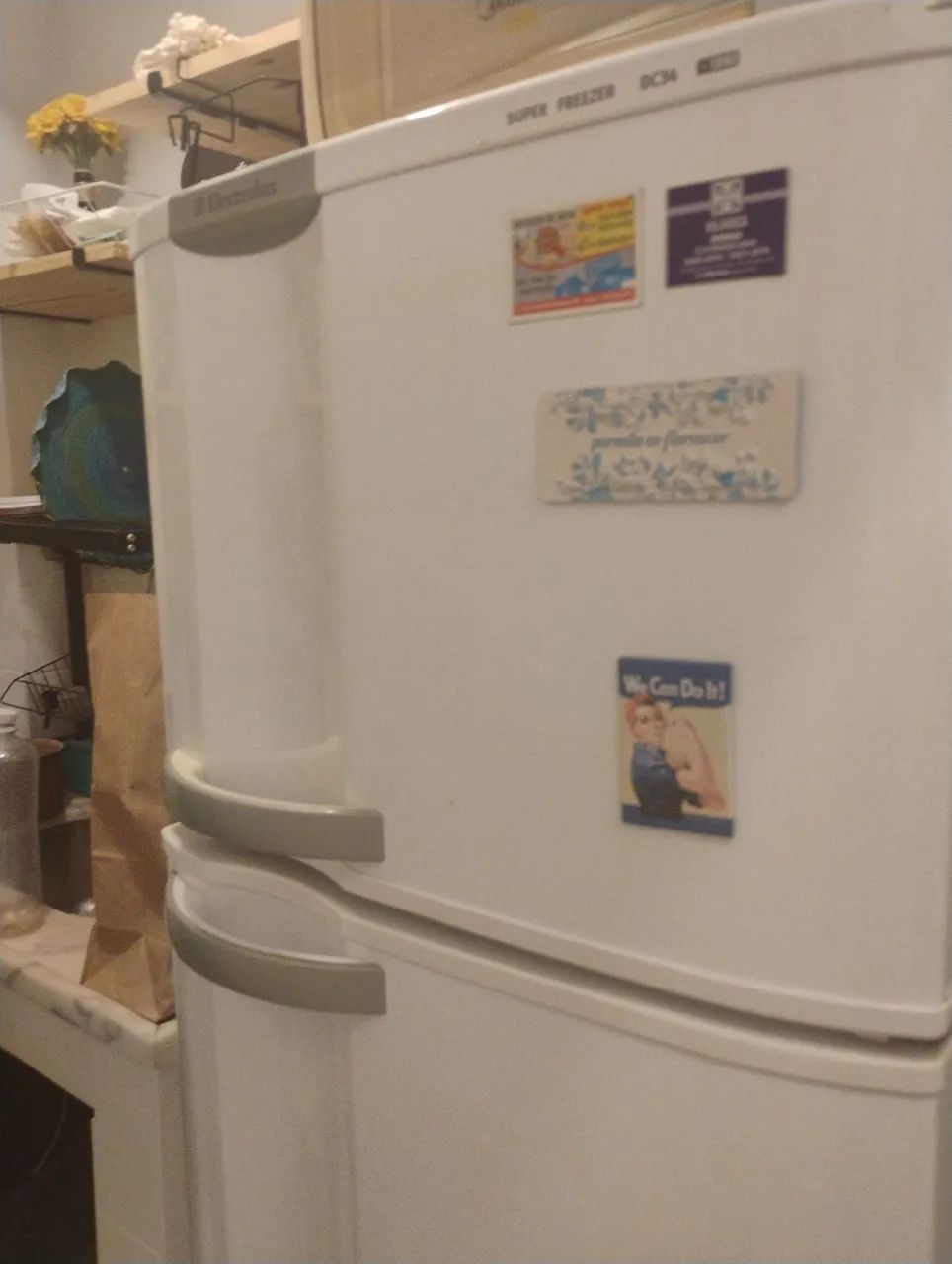 Geladeira Electrolux DC34 super freezer