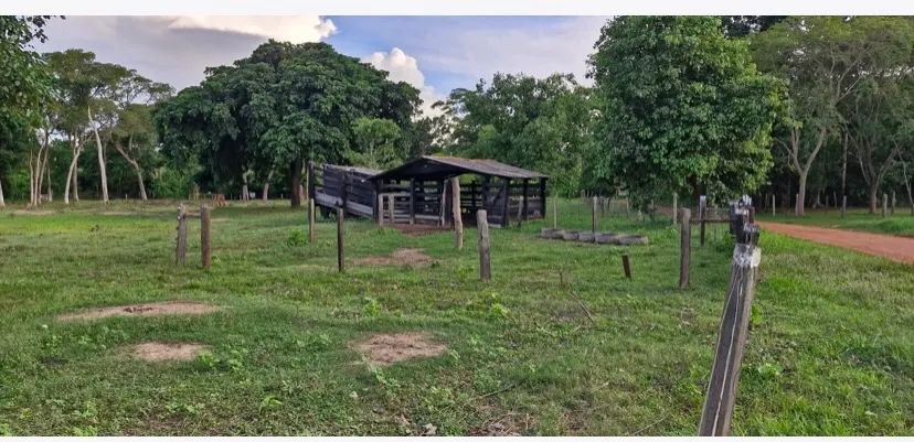 VENDO PESQUEIRO EM STO ANTÔNIO LEVERGER  - Foto 4
