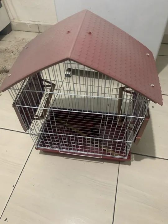 Gaiola para Calopsitas - Foto 2