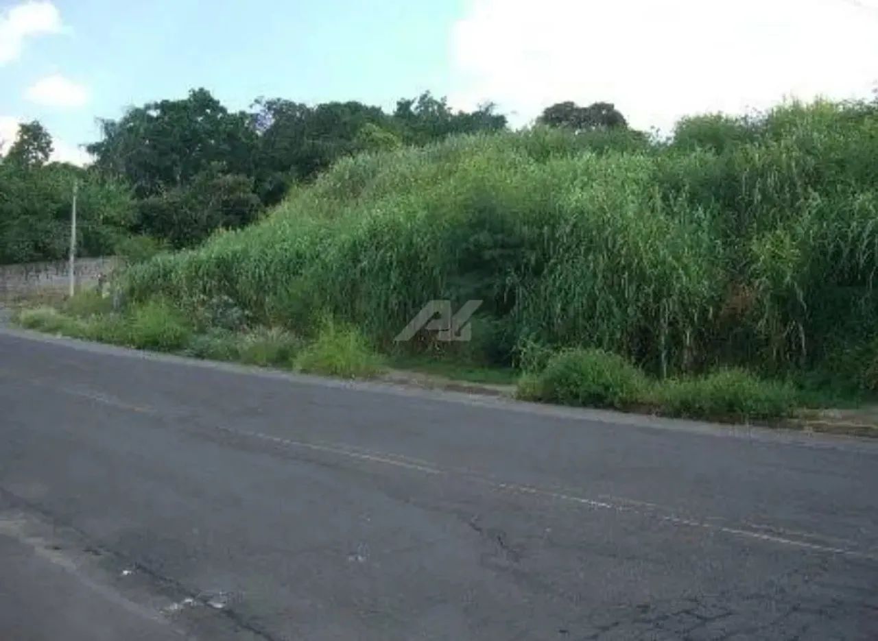 área - Parque Taquaral - Campinas - Foto 4