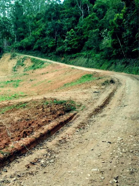 Oportunidade Imperdível em Angelina - SC! - Foto 4